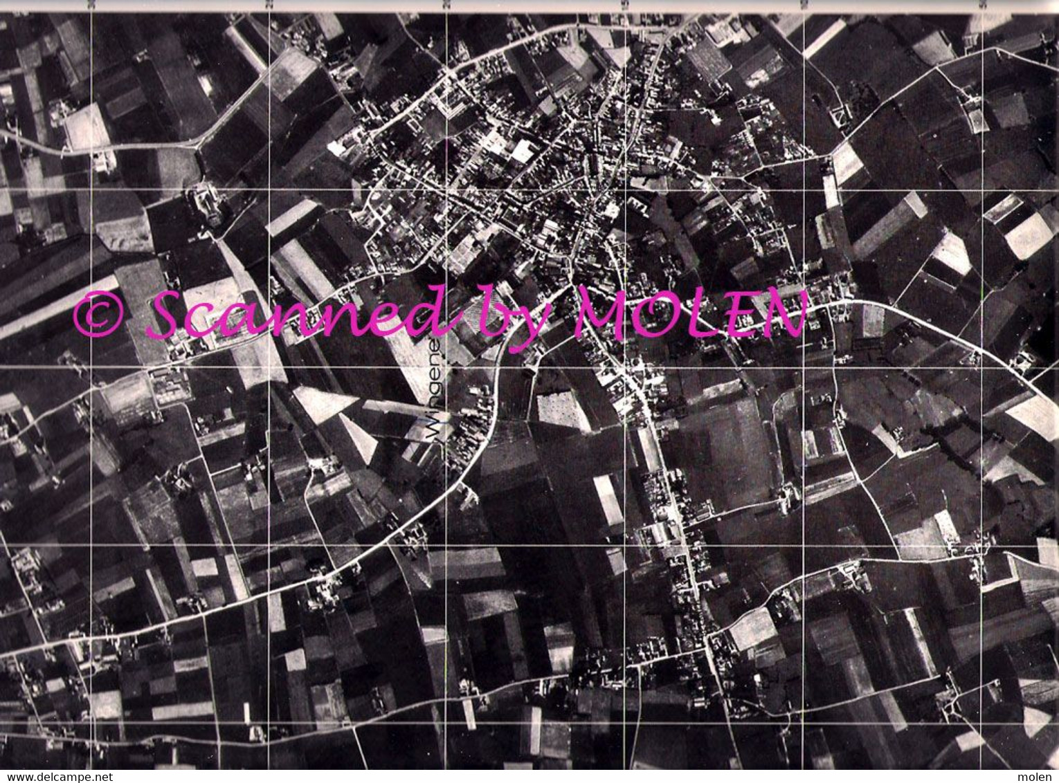 WINGENE ©1971 GROTE LUCHT-FOTO 63x48cm KAART ORTO PLAN 1/10.000 In 1971 TOPOGRAPHIE PHOTO AERIENNE CARTE R276 - Wingene