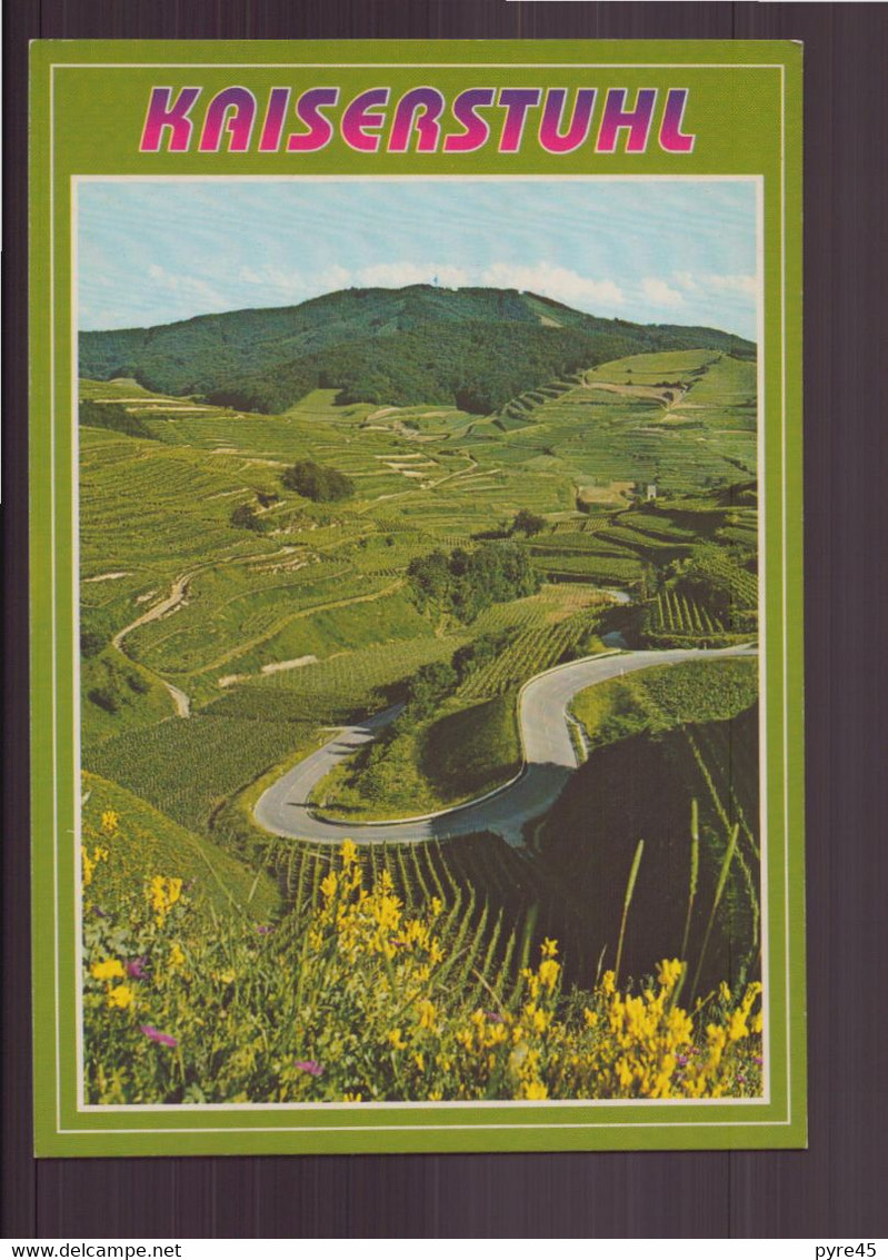 Kaiserstuhl "Terrassenlandschaft Mit Blick Gegen " ( Grand Format 16 X 11.5 Cm ) - Kaiserstuhl