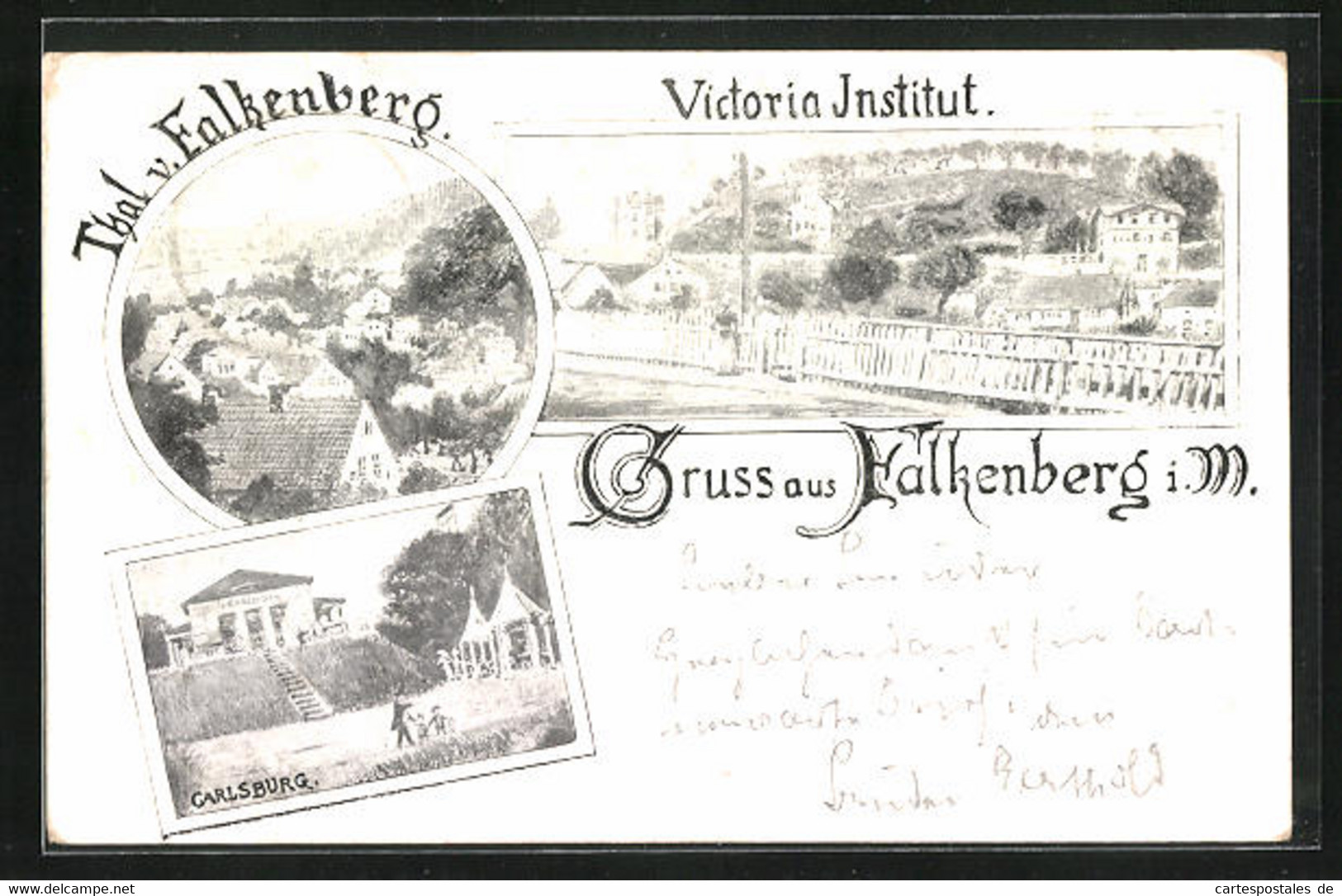 AK Falkenberg I. M., Gasthaus Carlsburg, Victoria Institut - Falkenberg