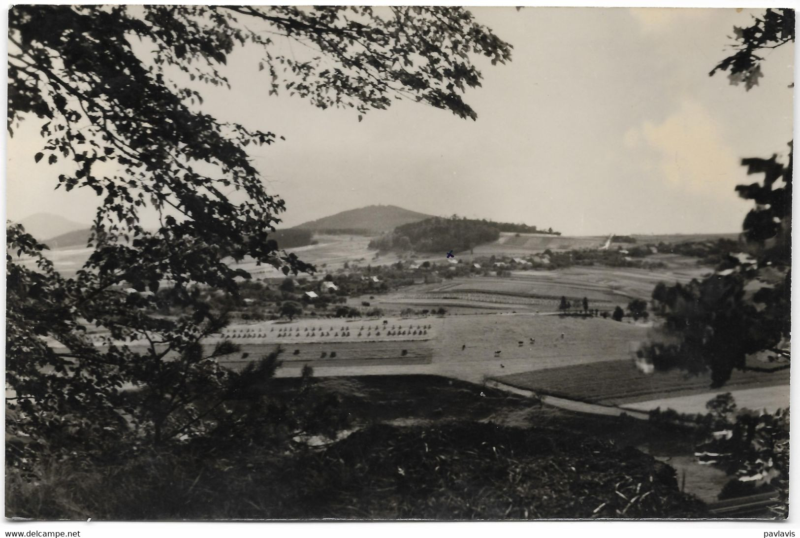 Hörnitz, Blick Zum (vom) Shülerbusch – Year Cca 1920 - Goerlitz