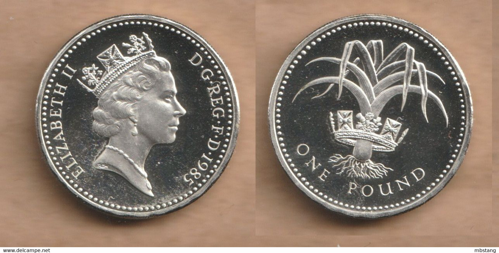 GRAN BRETAÑA 1 Pound - (Welsh Leek; Silver Proof) 1985  Silver (.925) • 9.5 G • ⌀ 22.5 Mm KM# 941a - 1 Pound