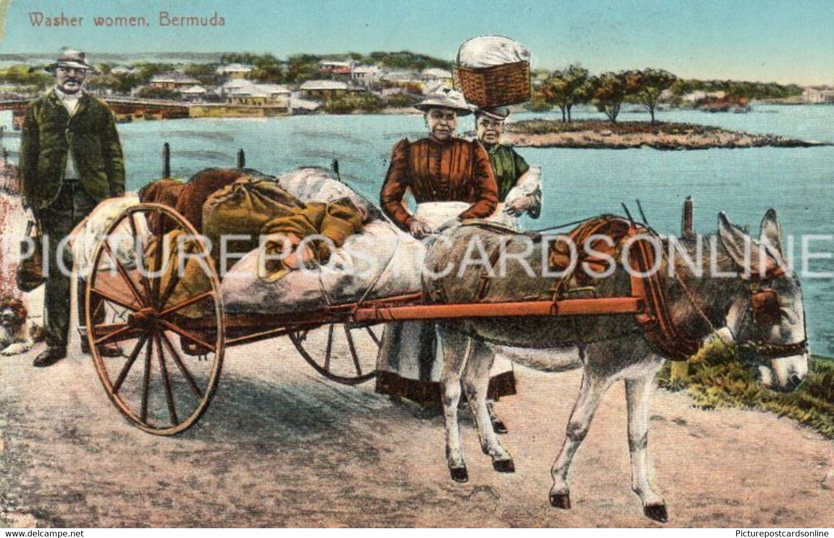 WASHER WOMAN BERMUDA OLD COLOUR POSTCARD ANTILLES - Bermuda