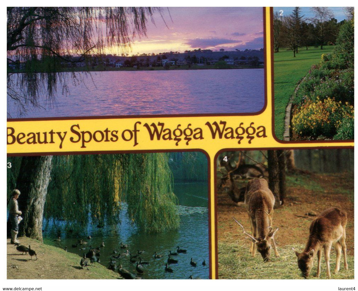 (QQ 31) Australia - Wagga Wagga (NSW) - Wagga Wagga