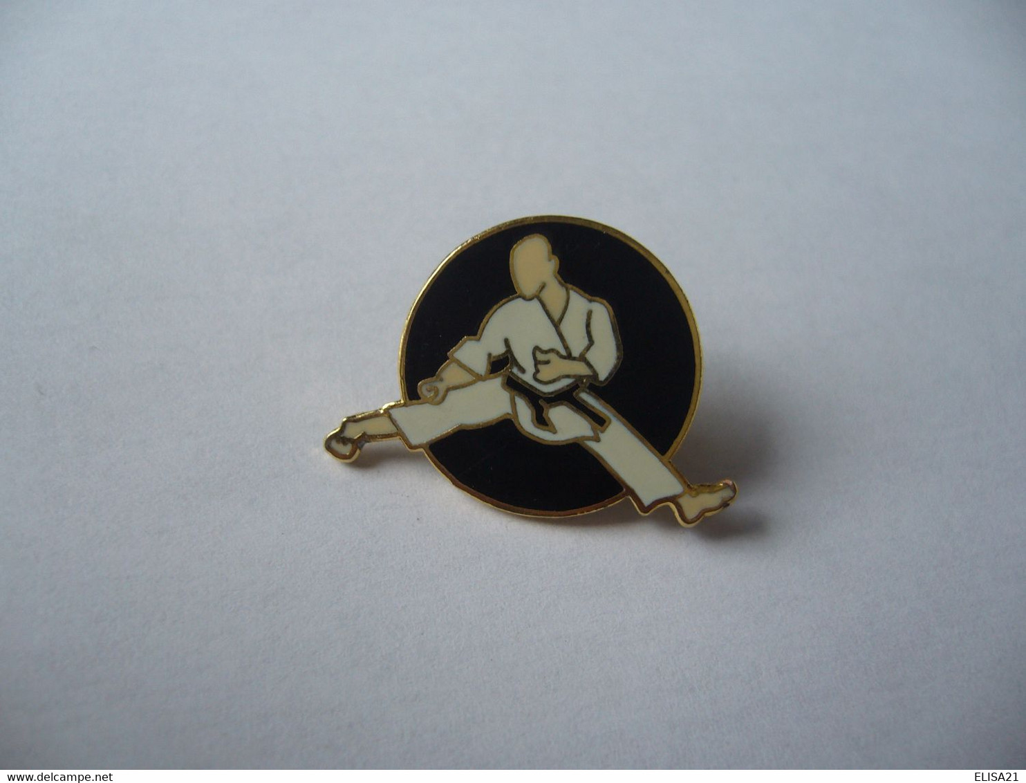 PIN'S PINS PIN PIN’s ピンバッジ  THEME SPORT DE COMBAT KARATE - Judo