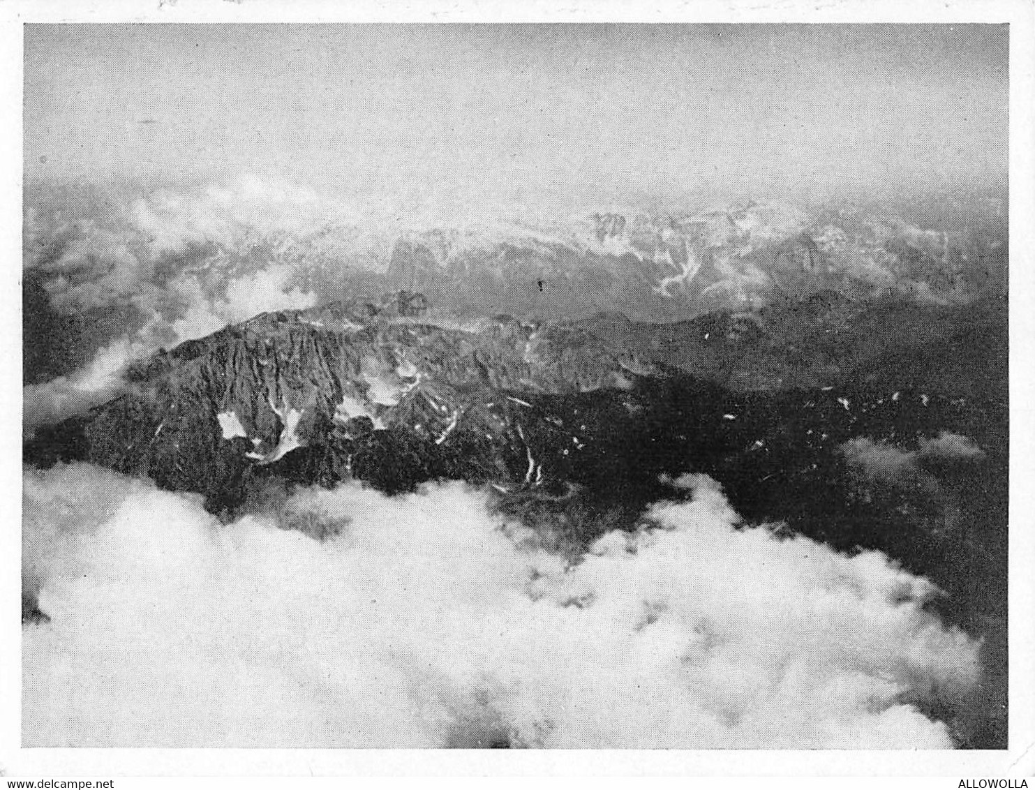 12488"PATRIA-ALBUM-FOTO N° 69-ZOO,GEHULD IN DE WOLKEN,SLECHTS ENKELE TOPPEN ER BOVEN UITSTEKEND......."VERA FOTO - Aviation