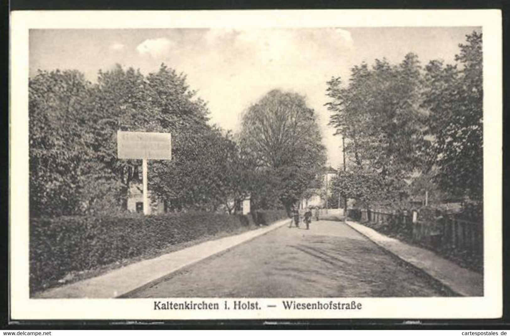 AK Kaltenkirchen, Blick Auf Die Wiesenhofstrasse Im Sonnneschein - Kaltenkirchen