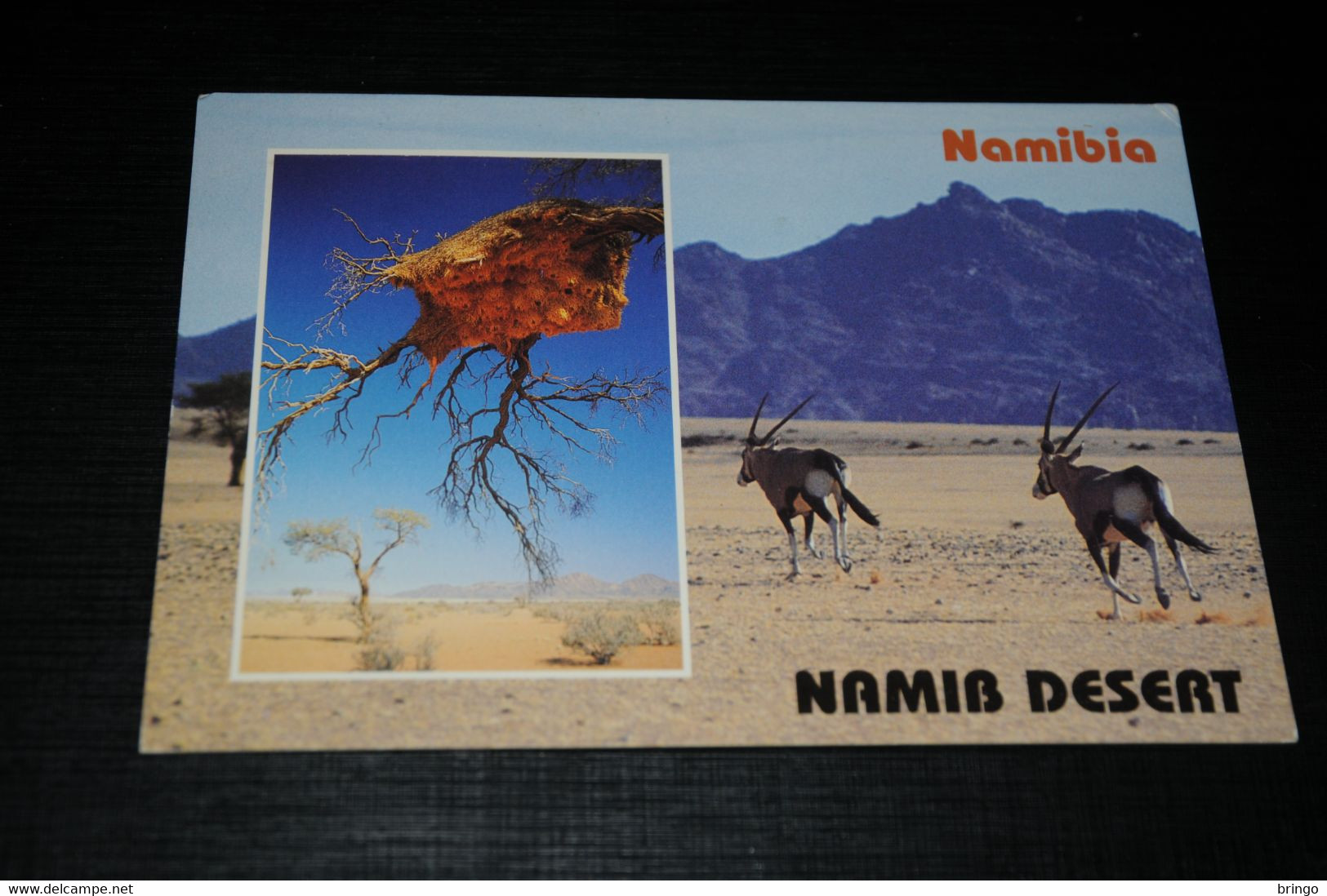 29136-               NAMIBIA, NAMIB DESERT - Namibië