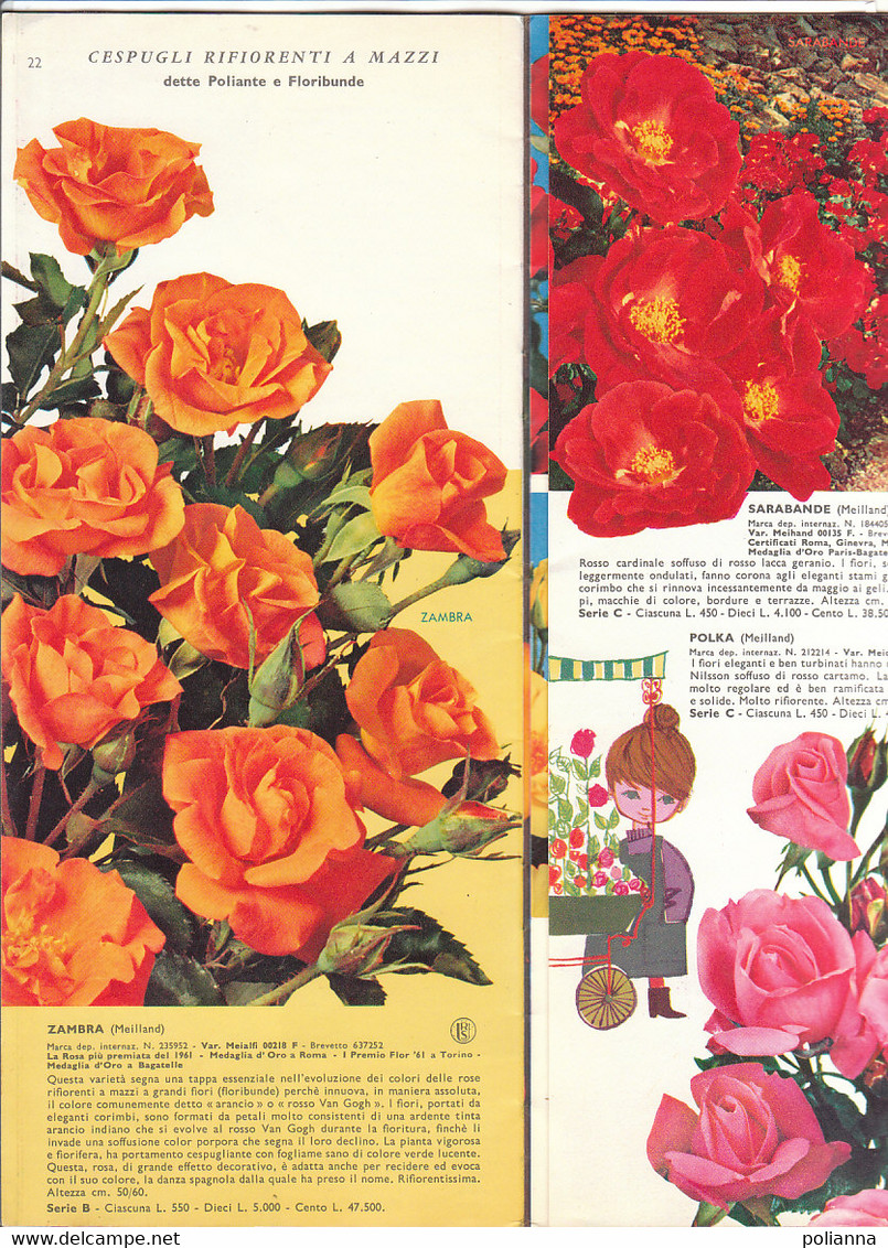 B2095 - Catalogo LISTINO ILLUSTRATO 1962 FLORICOLTURA VITTORIO BARNI-PISTOIA /ROSE/GIGLI/FIORI/FLOWERS - Giardinaggio