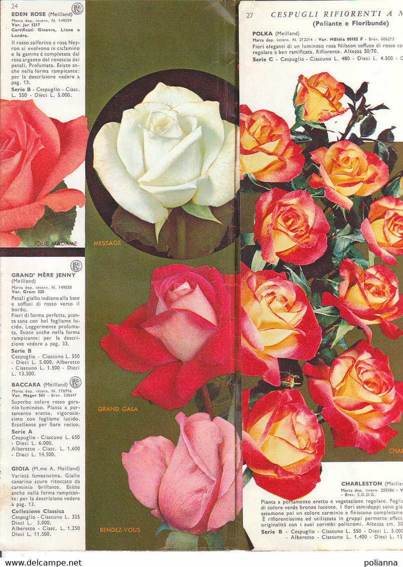 B2096 - Catalogo LISTINO ILLUSTRATO 1964 FLORICOLTURA VITTORIO BARNI-PISTOIA /ROSE/FIORI/FLOWERS - Giardinaggio