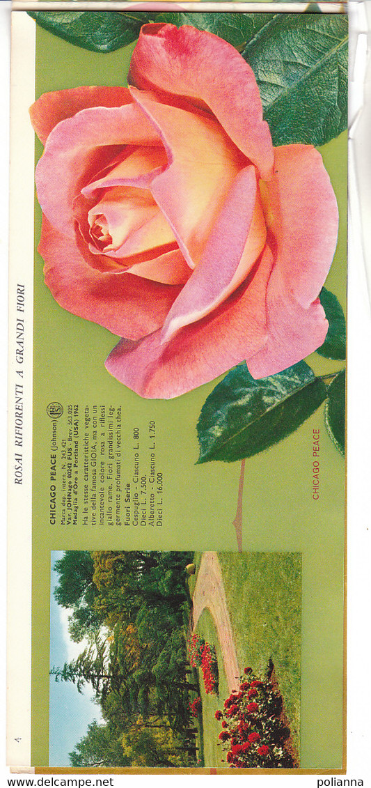 B2097 - Catalogo LISTINO ILLUSTRATO 1965 FLORICOLTURA VITTORIO BARNI-PISTOIA /ROSE MARIA CALLAS/FIORI/FLOWERS - Giardinaggio