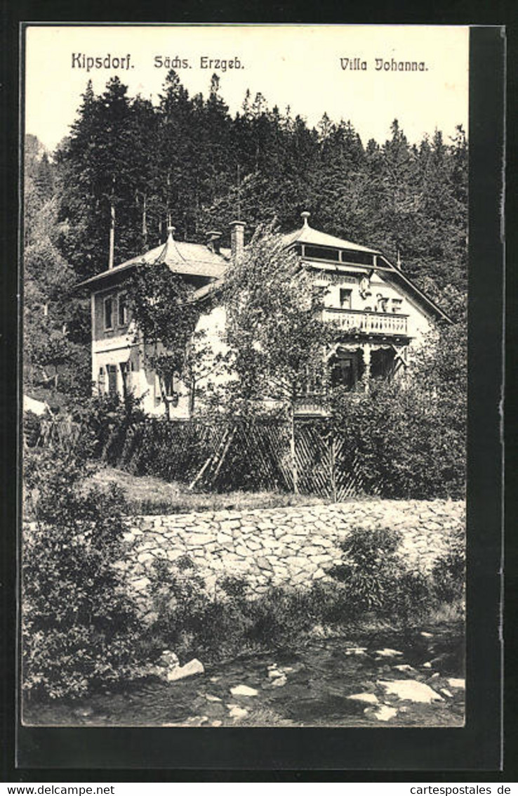 AK Kipsdorf / Sächs. Erzgebirge, Hotel Johanna - Kipsdorf