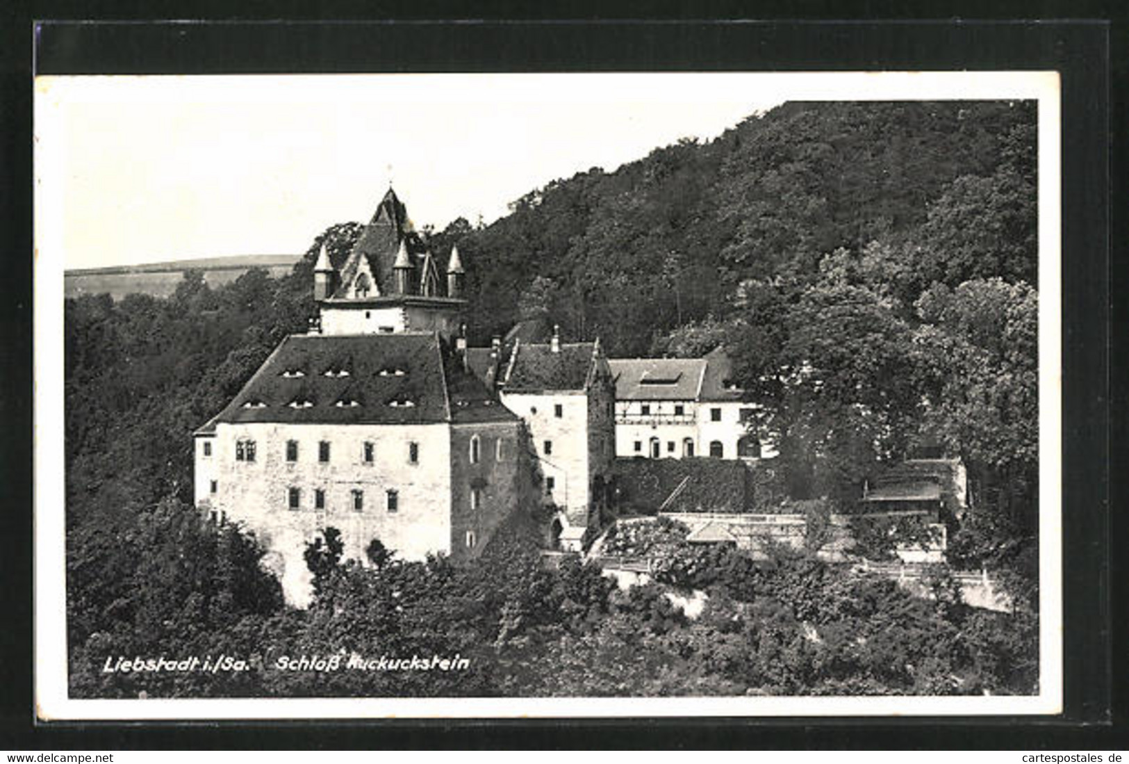 AK Liebstadt I. Sa., Schloss Kuckuckstein - Liebstadt