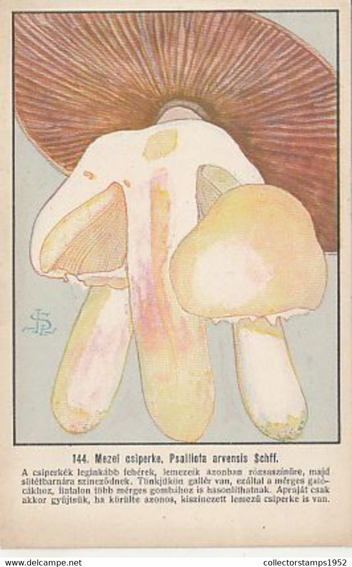 96462- MUSHROOMS, PLANTS - Mushrooms