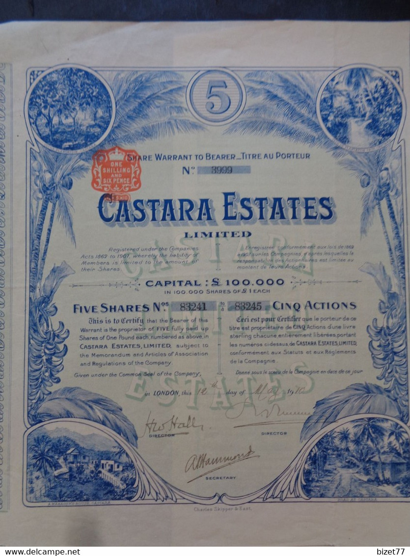 TOBAGO - CASTARA ESTATES LIMITED - TITRE DE 5 ACTIONS DE 1 £ - LONDRES 1910 - Other & Unclassified