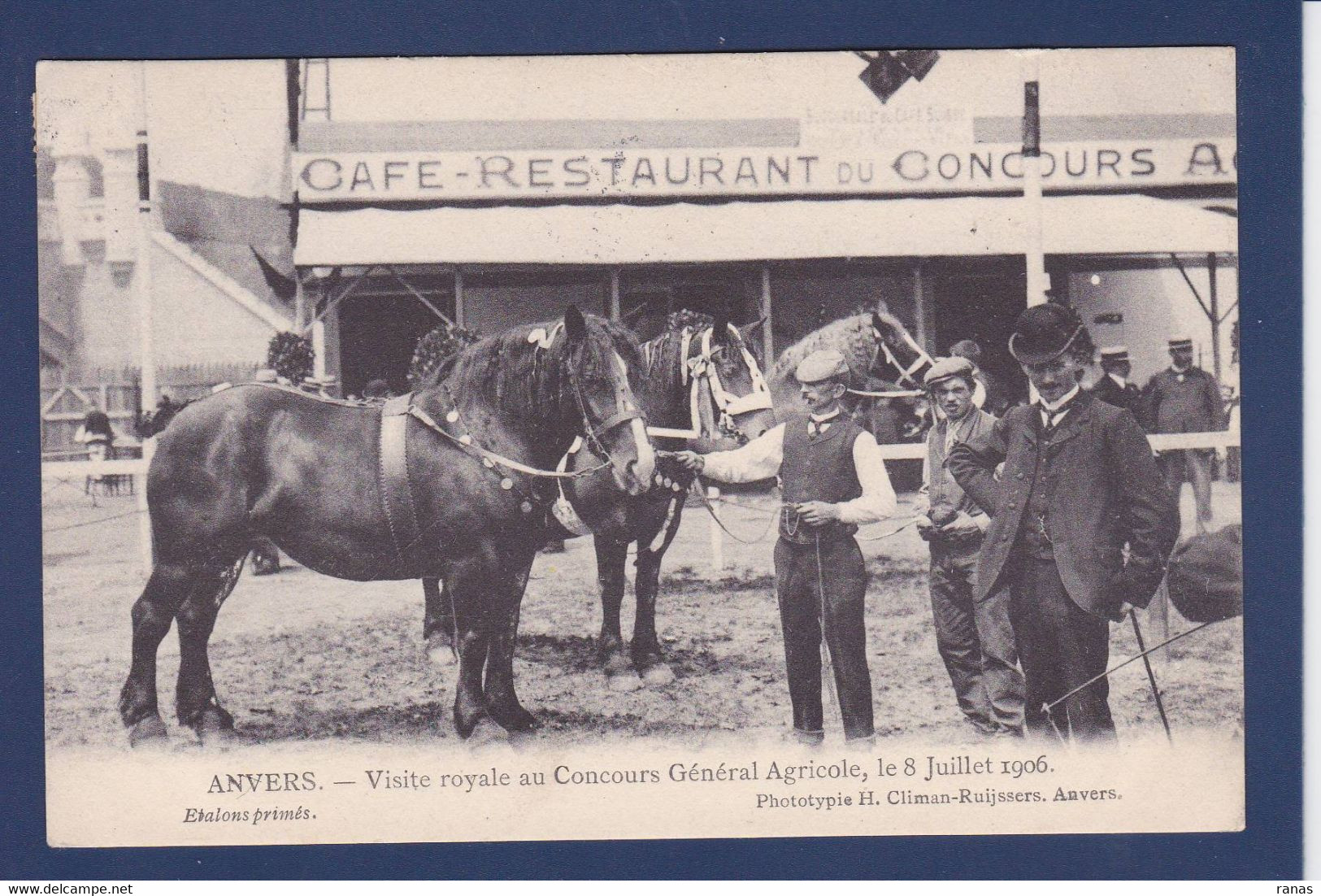 CPA Belgique > Anvers Visite Royale 1906 Horse Circulé - Altri & Non Classificati