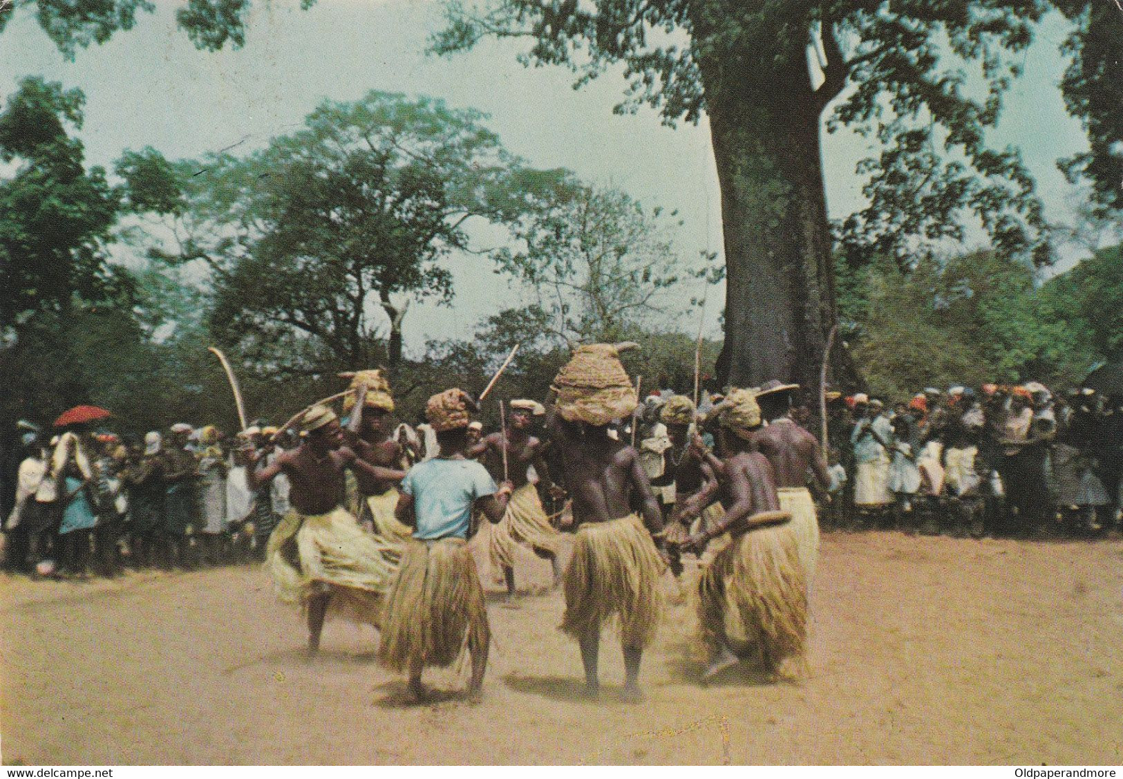 POSTCARD AFRICA - GUINEA - GUINÉ - OLD PORTUGUESE COLONY - DANÇA DO PAU DOS  BALANTAS    - ETHNIC - Guinée