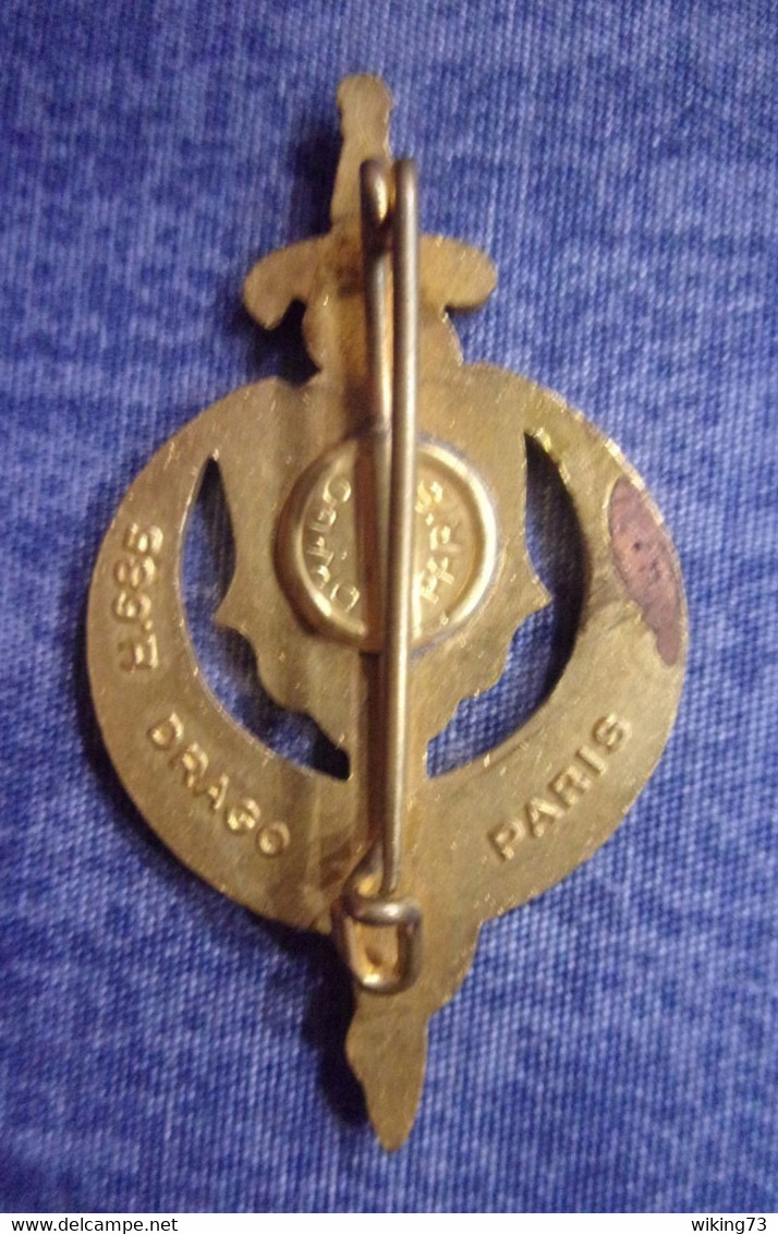 Insigne 10° Section D’Infirmiers Militaires - Service De Santé Des Armées - Algérie - Services Médicaux