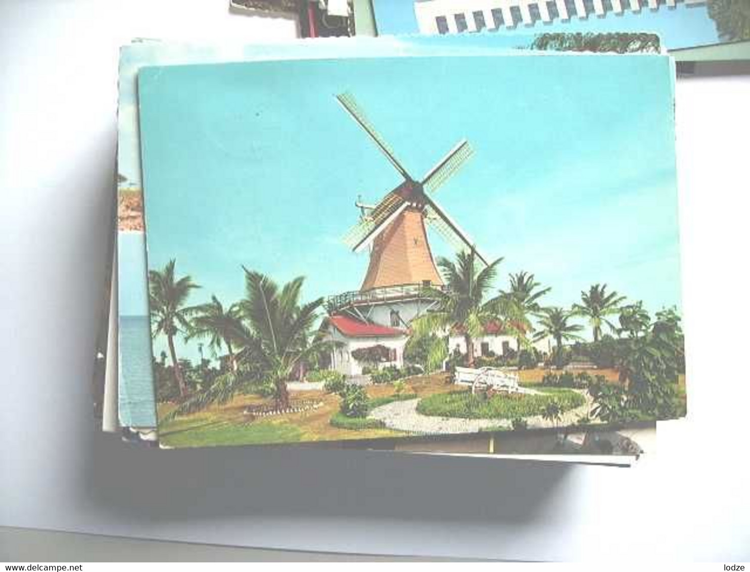 Aruba Met Een Molen - Aruba