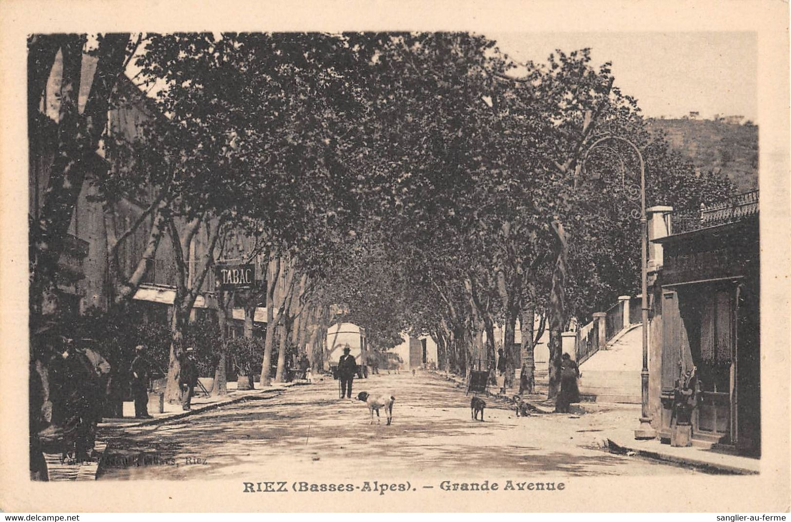 CPA 04 RIEZ GRANDE AVENUE - Autres & Non Classés