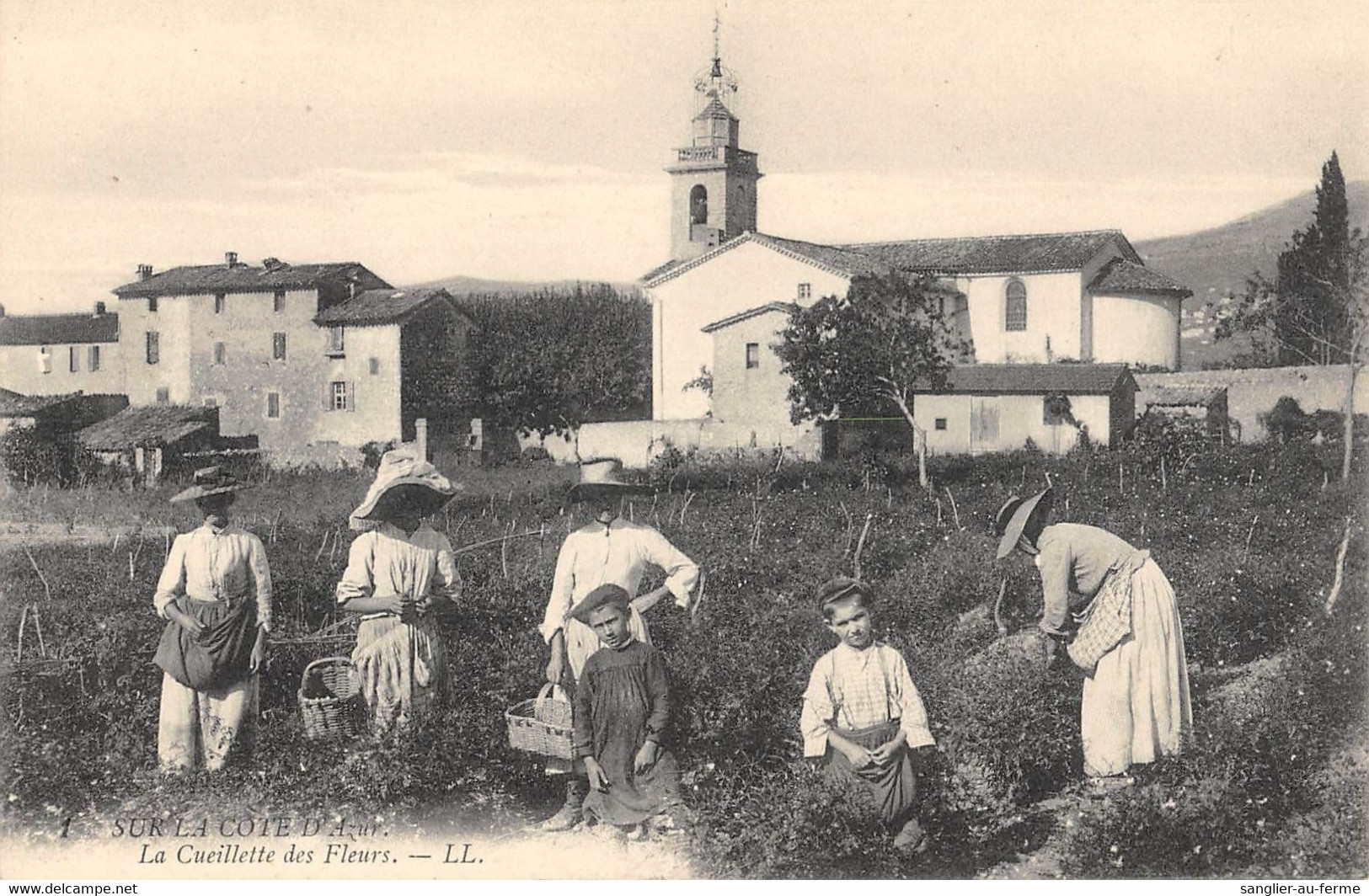 CPA 06 SUR LA COTE D'AZUR CUEILLETTE DES FLEURS - Autres & Non Classés