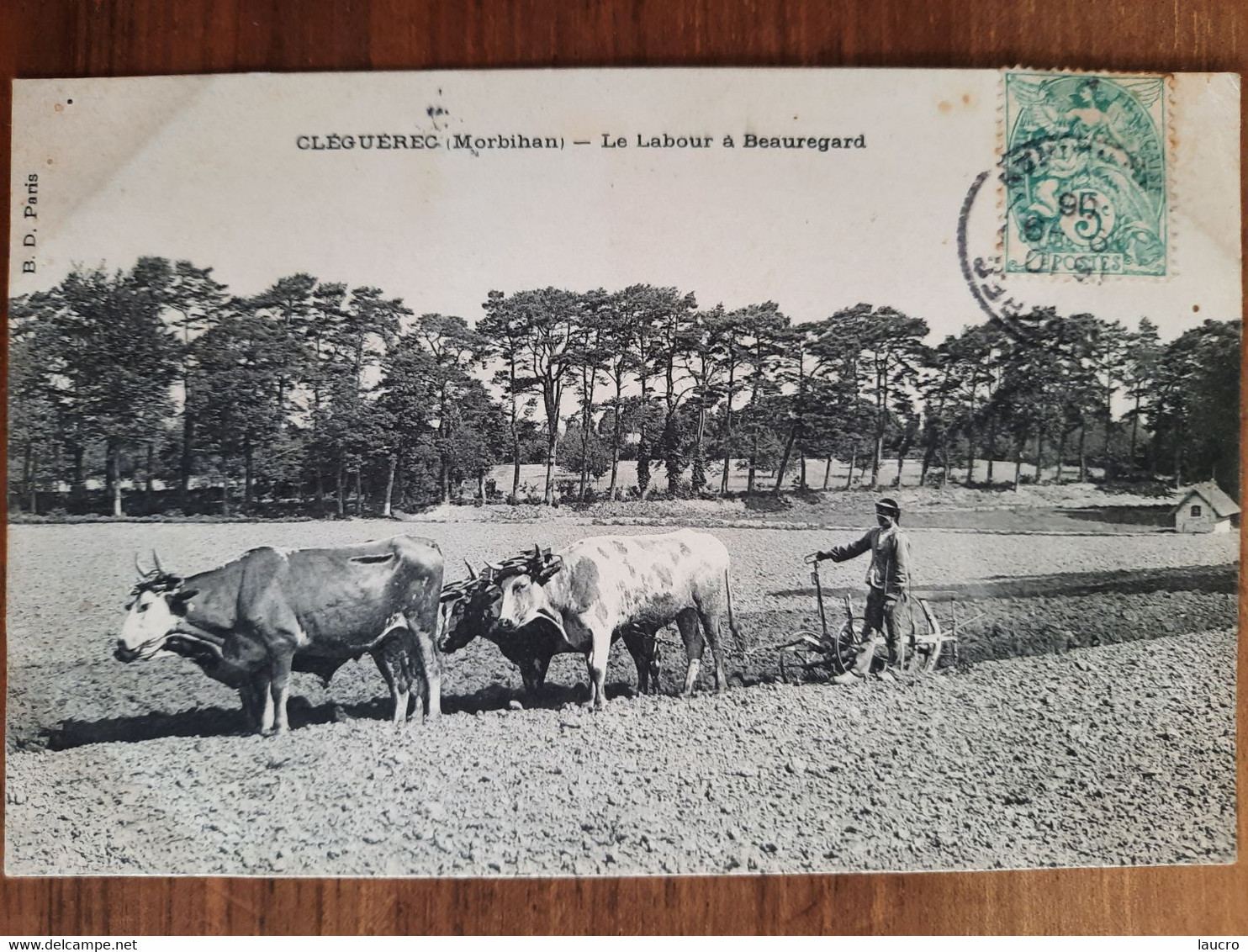 Cleguerec. Le Labour à Beauregard - Cleguerec