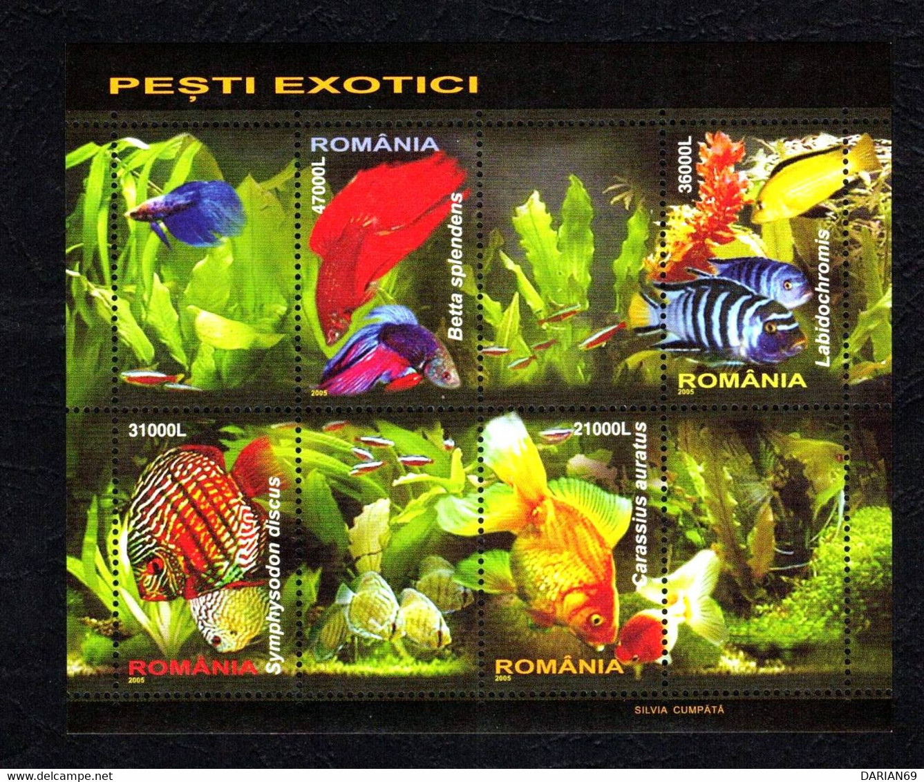 ROMANIA 1676c, 2005, #, Aquarium Fish, BLOCK OF 4, Poissons D'aquarium - Autres & Non Classés