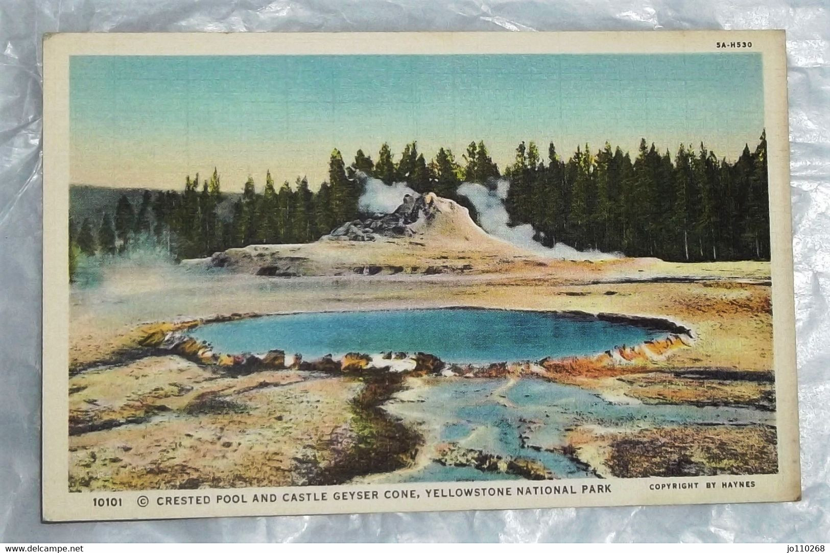 10101 Crested Pool And Castle Geyser Cone, Yellowstone National Park - Yellowstone