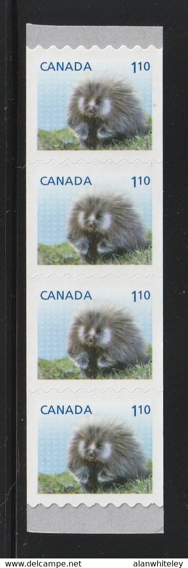 CANADA 2013 Definitives / Young Wildlife / Porcupine S/ADH: Strip Of 4 Stamps UM/MNH - Coil Stamps