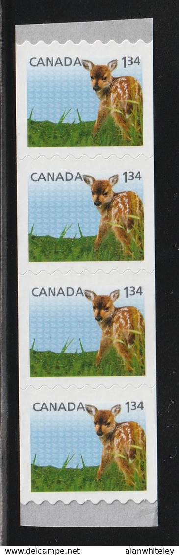 CANADA 2013 Definitives / Young Wildlife / Deer S/ADH: Strip Of 4 Stamps UM/MNH - Rollen