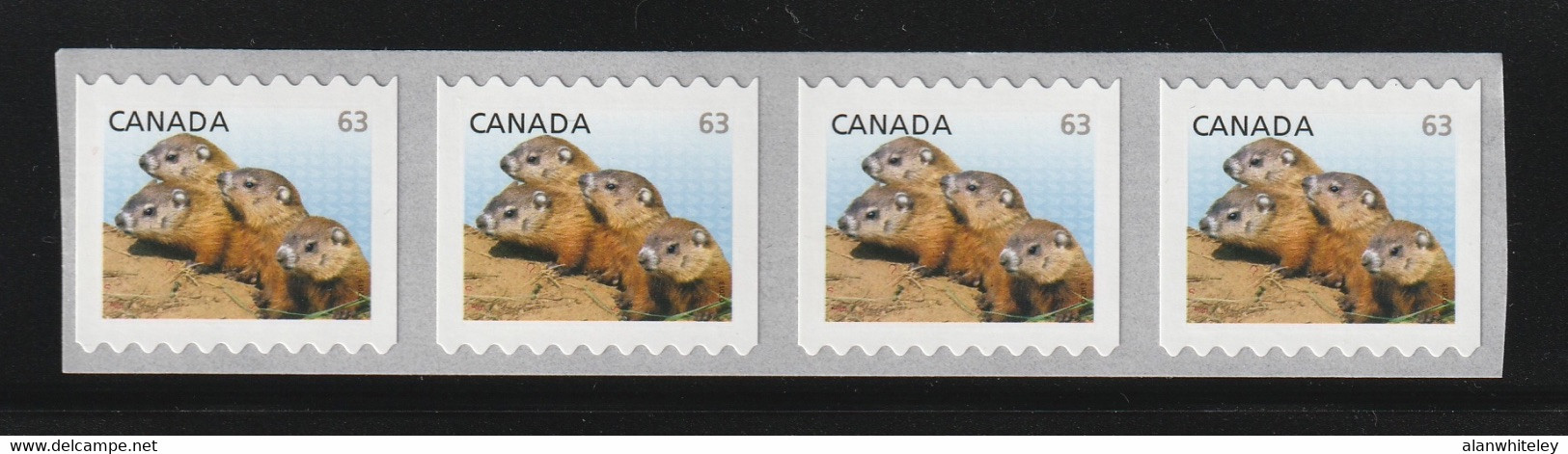 CANADA 2013 Definitives / Young Wildlife / Woodchucks 63c S/ADH: Strip Of 4 Stamps (Sideways) UM/MNH - Roulettes