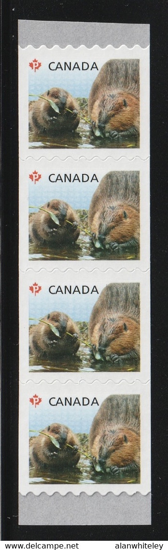 CANADA 2014 Definitives / Young Wildlife / Beaver S/ADH: Strip Of 4 Stamps UM/MNH - Coil Stamps