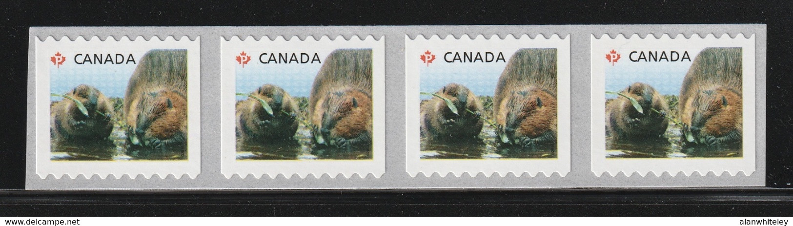 CANADA 2014 Definitives / Young Wildlife / Beaver S/ADH: Strip Of 4 Stamps (Sideways) UM/MNH - Francobolli In Bobina