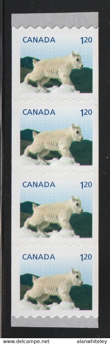 CANADA 2014 Definitives / Young Wildlife / Mountain Goat S/ADH: Strip Of 4 Stamps UM/MNH - Rollo De Sellos