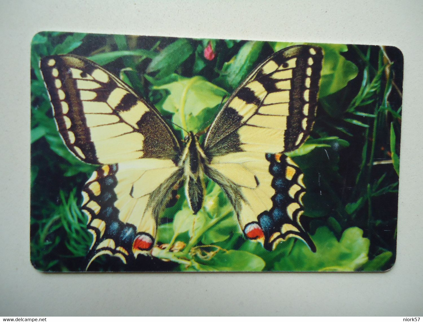 CZECH USED CARDS  BUTTERFLIES - Vlinders