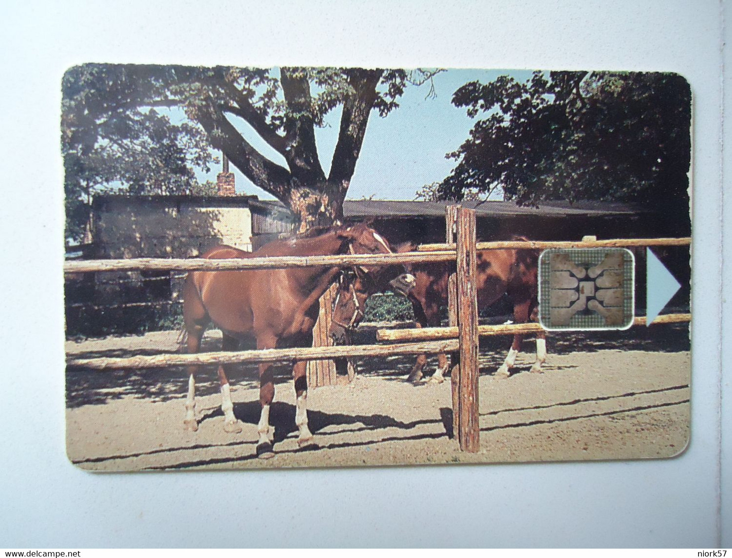 CZECH REPUBLIC USED PHONECARDS HORSES - Paarden