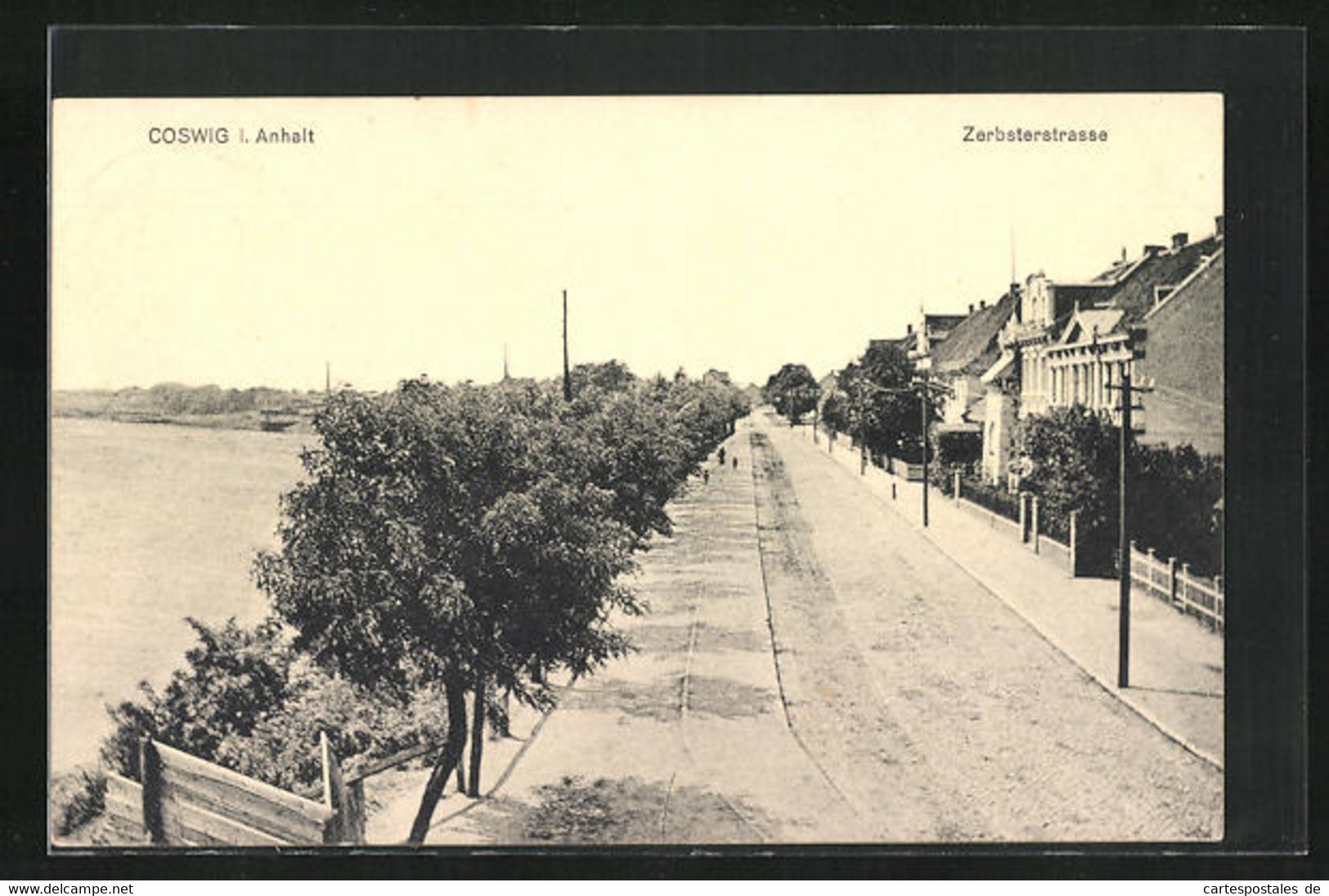 AK Coswig / Anhalt, Zerbsterstrasse Am Wasser - Zerbst