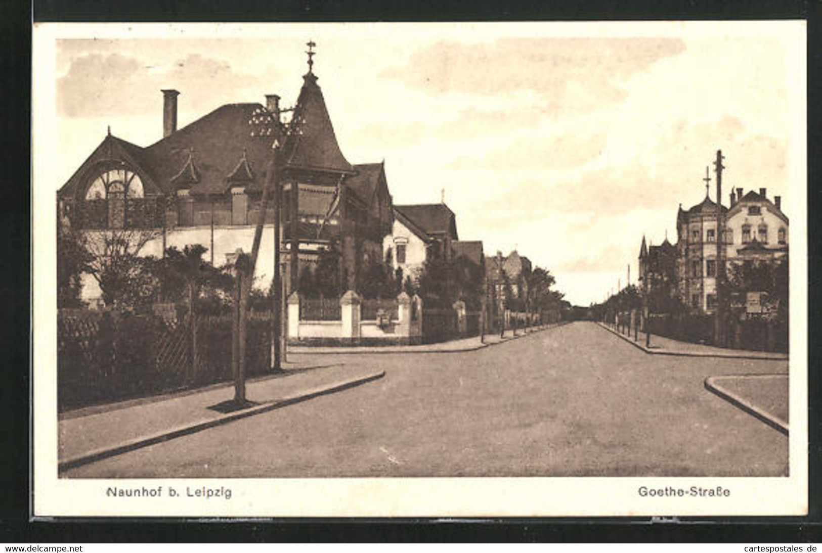 AK Naunhof Bei Leipzig, Goethe-Strasse Mit Villen - Naunhof