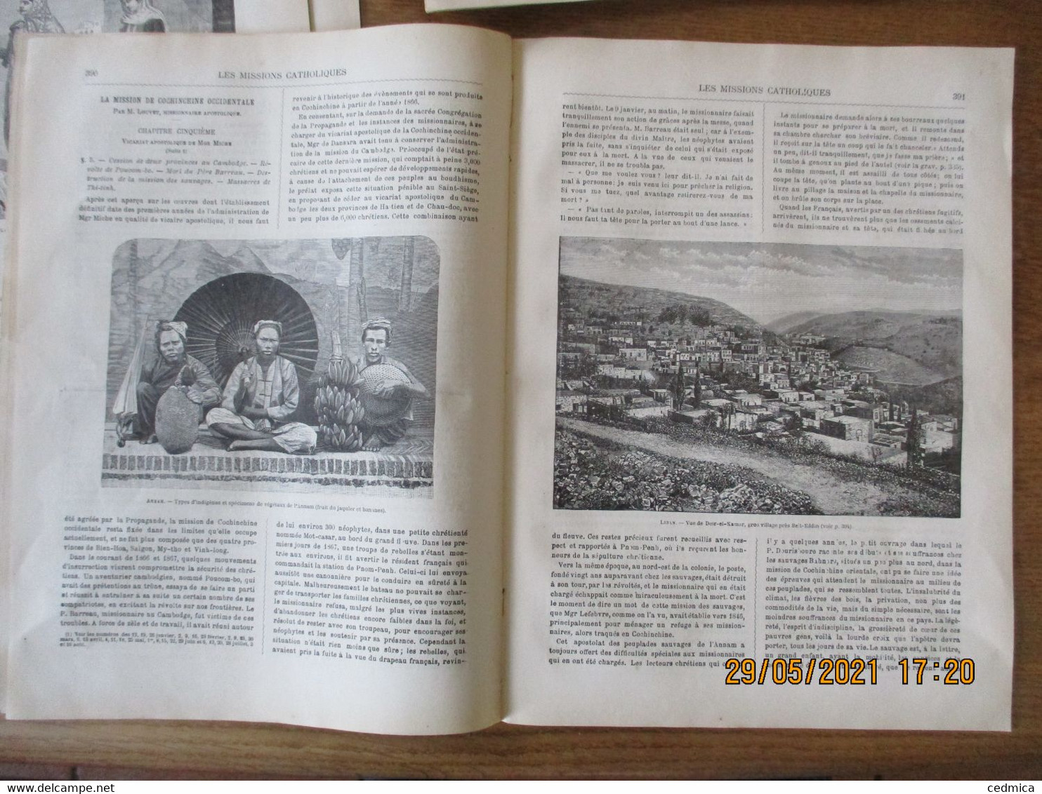 LES MISSIONS CATHOLIQUES DU 17 AOUT 1883 COCHINCHINE,CONSTANTINOPLE,ANNAM TYPES D'INDIGENES ET SPECIMENS DE VEGETAUX,LIB - Zeitschriften - Vor 1900