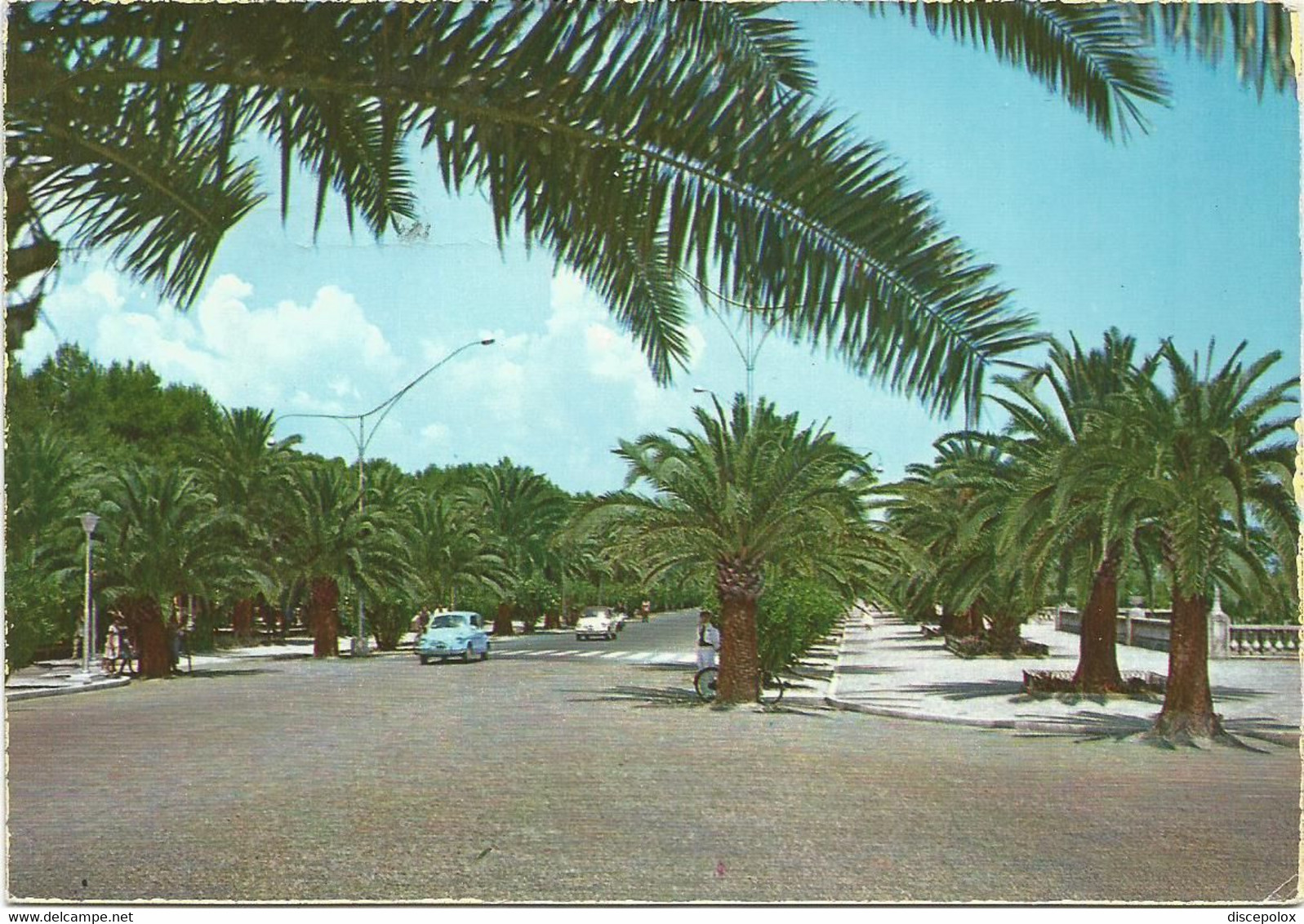 F3528  San Benedetto Del Tronto (Ascoli Piceno) - Viali A Mare - Auto Cars Voitures / Viaggiata 1960 - Ascoli Piceno