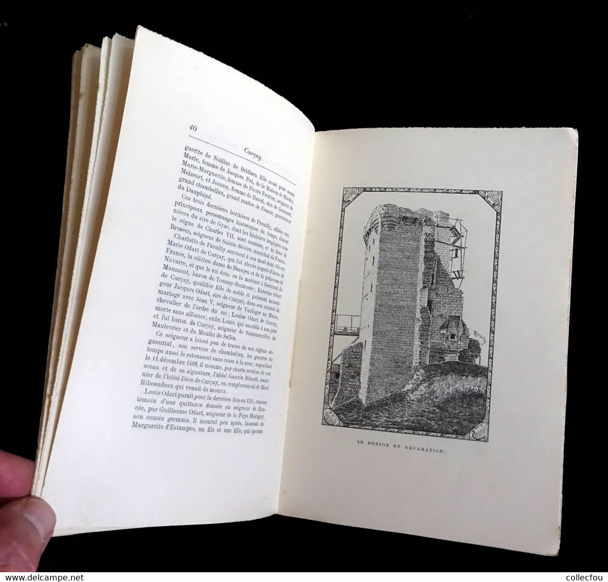 Livre sur CURÇAY-sur-DIVE (Vienne) par le Comte de RILLY, imprimé à seulement 100 exemplaires en 1898