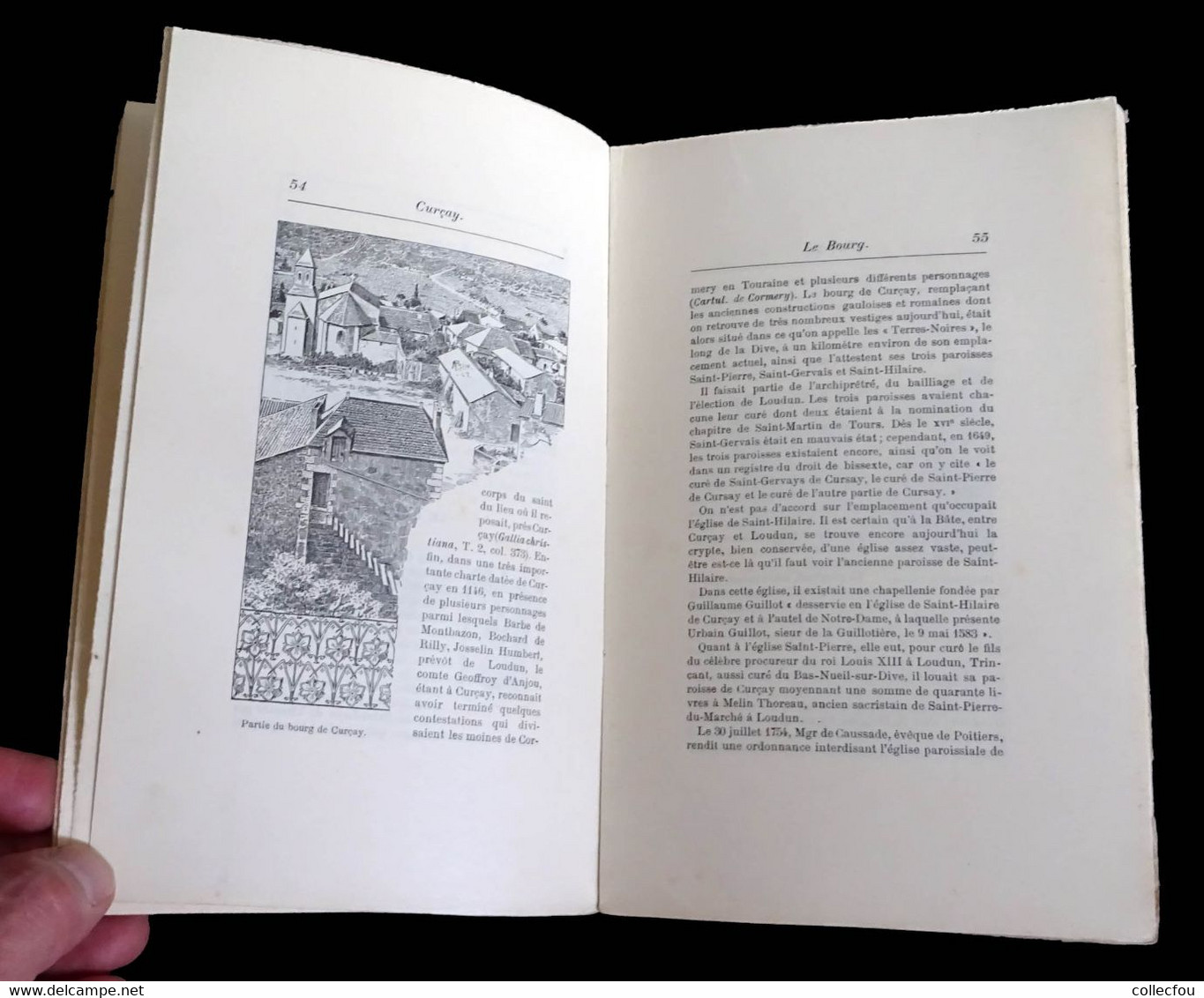 Livre sur CURÇAY-sur-DIVE (Vienne) par le Comte de RILLY, imprimé à seulement 100 exemplaires en 1898