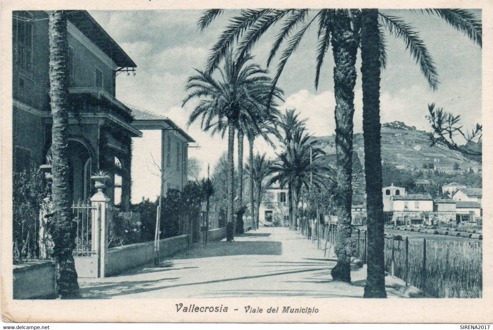 VALLECROSIA - VIALE DEL MUNICIPIO - IMPERIA - VIAGGIATA - Imperia