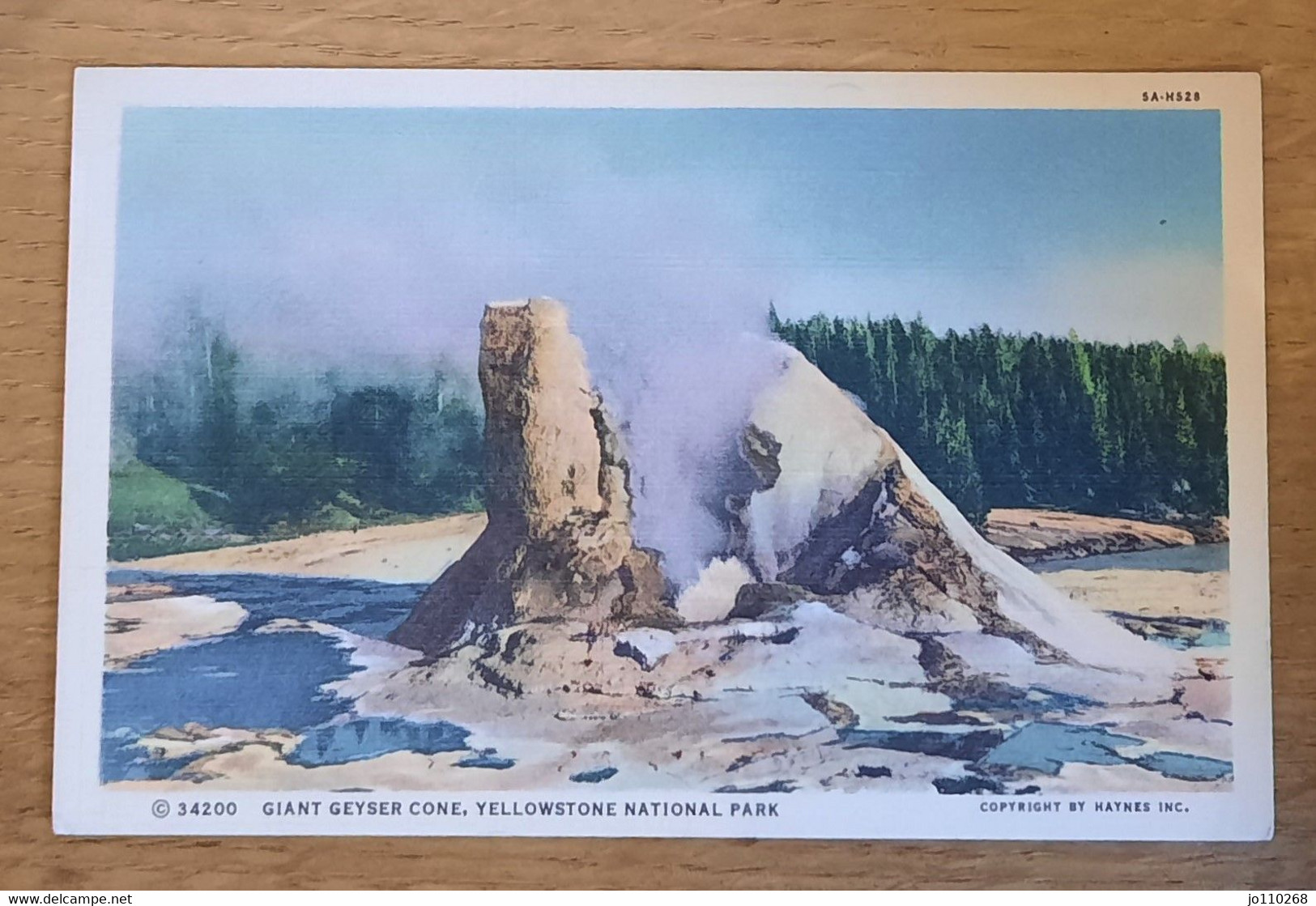 34200 Giant Geyser Cone Yellowstone National Park - Yellowstone