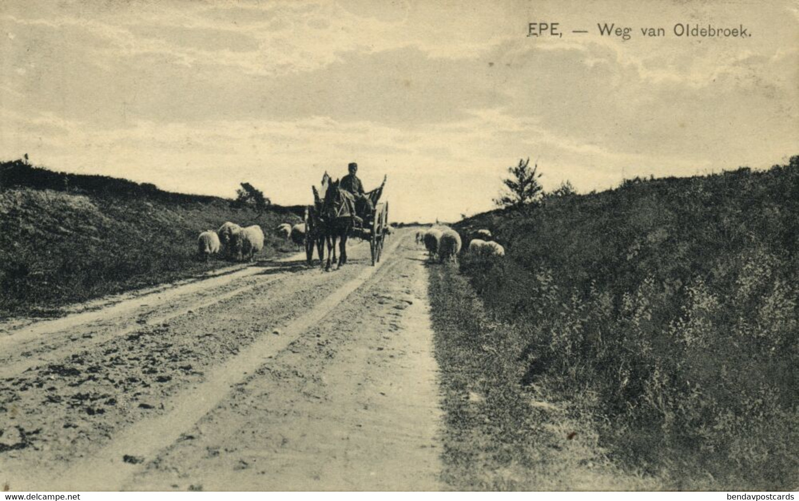 Nederland, EPE, Weg Van Oldebroek (1921) Nauta Ansichtkaart - Epe