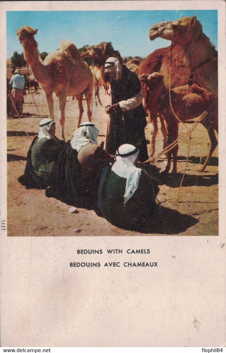 ISRAEL - NAZARETH - CARTE POSTALE POUR LA FRANCE - LE 5-9-1958 - CARTE BEDOUINS AVEC CHAMEAUX. - Storia Postale
