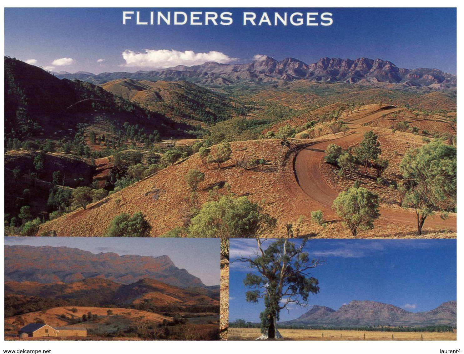 (QQ 46) Australia - SA  (17 X 12 Cm) Flinders Ranges - Flinders Ranges