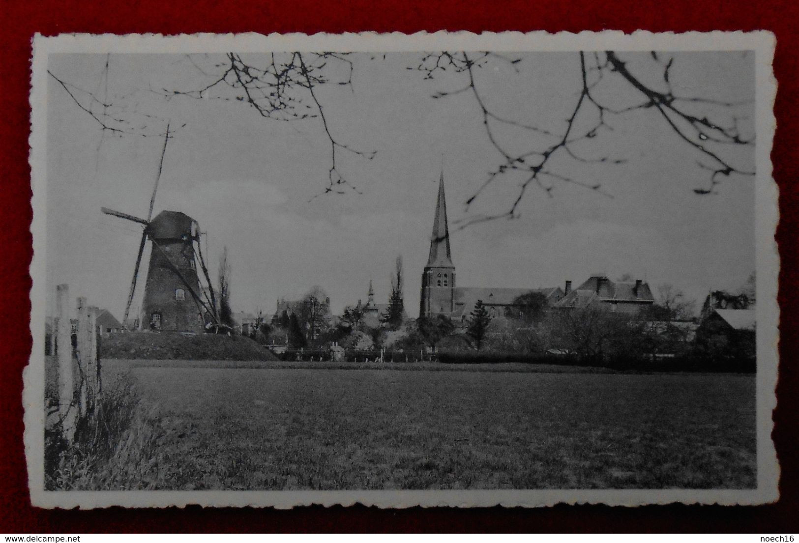 CP  1957 - Retie, Panorama Met Molen - Retie