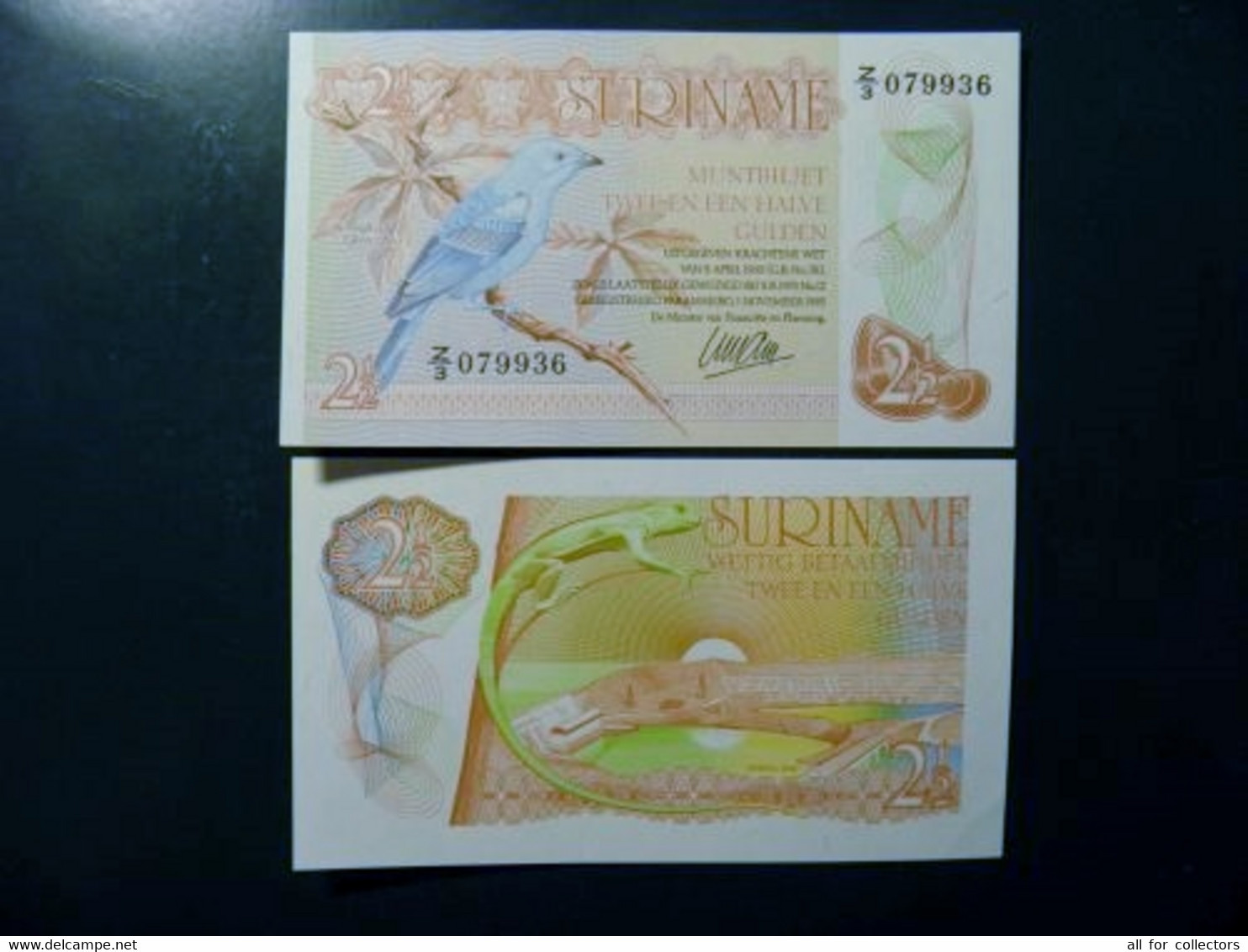 UNC Banknote Surinam 2 1/2 Gulden 1985 P-119 Animals Bird Lizard Afobaka Dam - Surinam