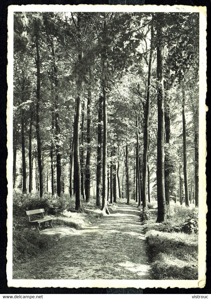 JAUCHE - Maison De Cure Et De Repos Charles De Hemptinne - Circulé - Circulated - Gelaufen - 1945. - Orp-Jauche