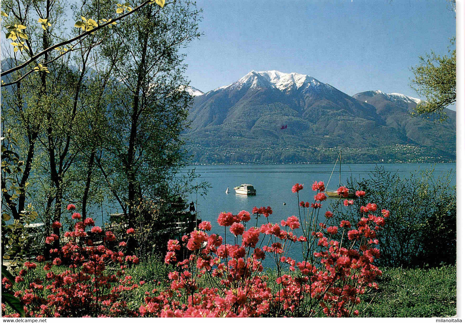 Lago Maggiore - Gambarogno Visto Da Rivaplana (1385) * 17. 3. 2000 - Gambarogno